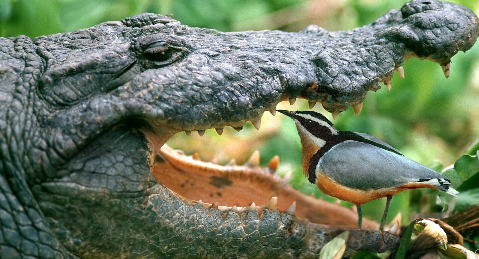 <h3>Finanzierungen sind Vertrauenssache</h3>