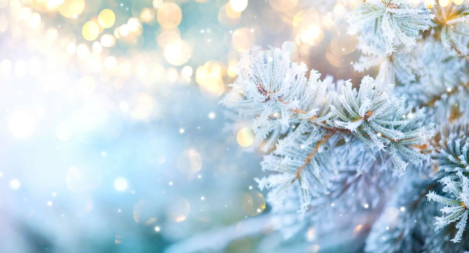 <h3>Wir wünschen eine schöne Weihnachtszeit. Genießen Sie die besinnlichen Stunden im Kreise der Familie. Für das neue Jahr wünschen wir Ihnen Gesundheit und viel Freude!</h3>